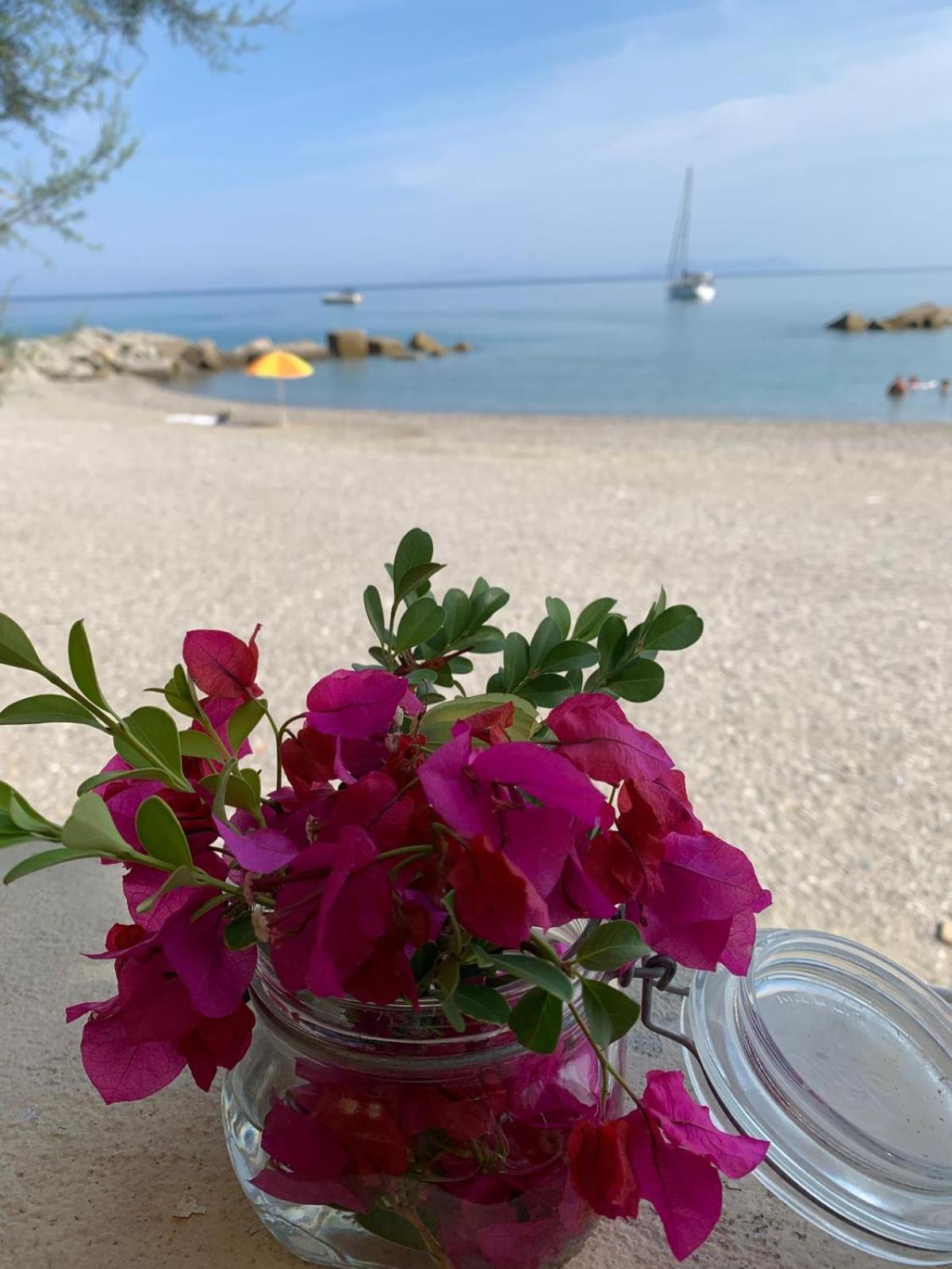 Testa Di Monaco Natural Beach Capo dʼOrlando エクステリア 写真